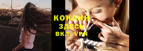 кокс Арсеньев
