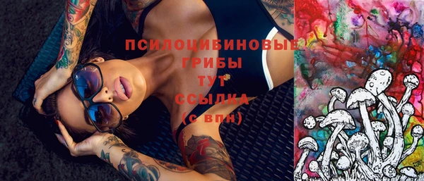 кокс Арсеньев